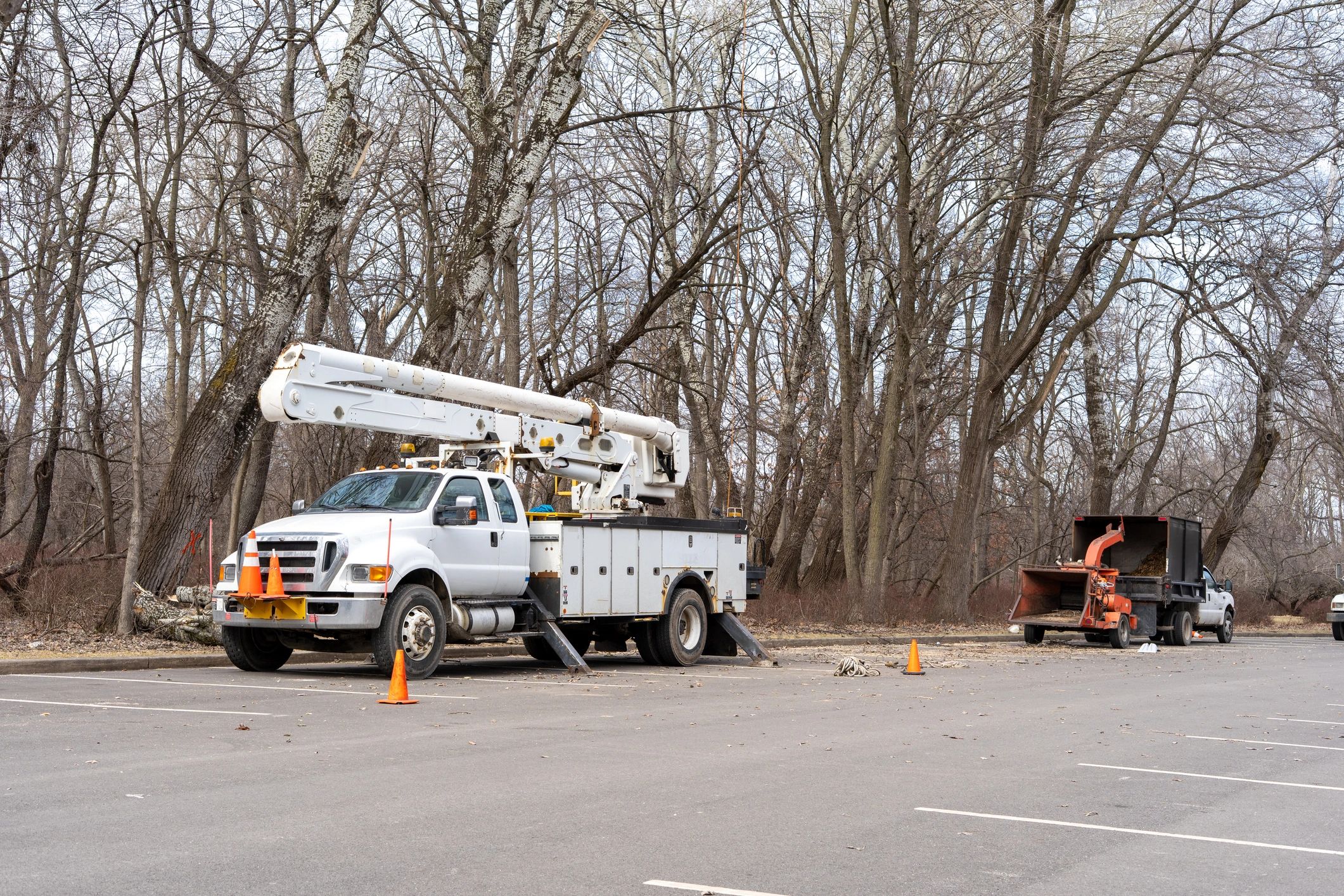 Utility bucket truck and wood chipper set up for tree and park maintenance.